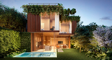 The Falls Haus – onde a natureza e a cidade se encontram